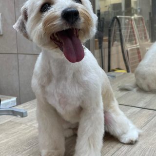 Kříženec - foto 1